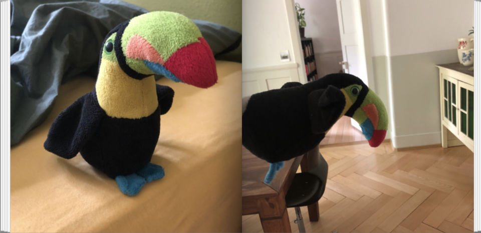 De Rägebogetukan flügt us...