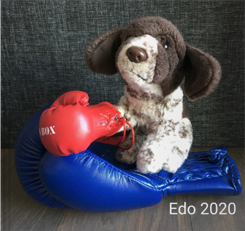 Eddo