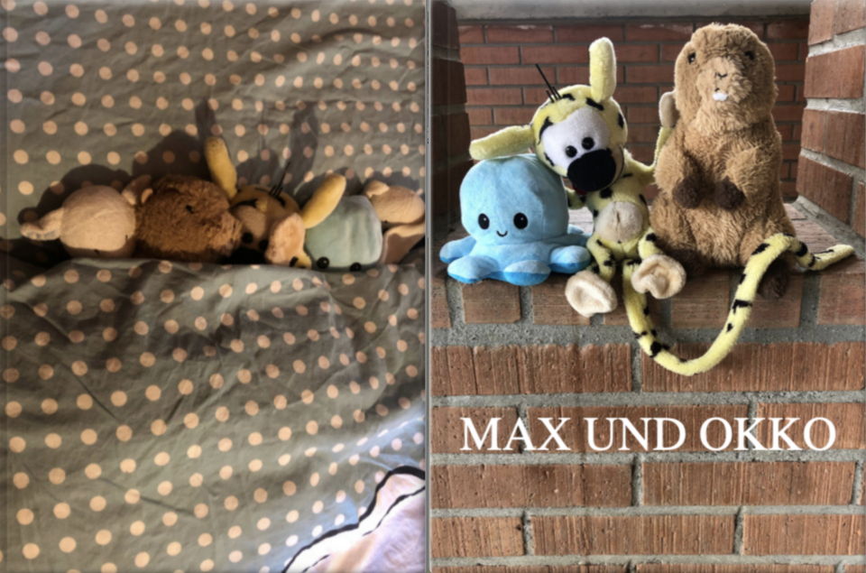 Ein Tag im Leben von Julians Dreierbande