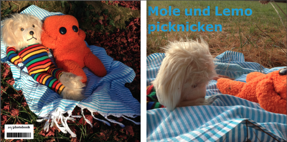 Mole und Lemo picknicken von "Dein Stofftier" Judith Hirzel